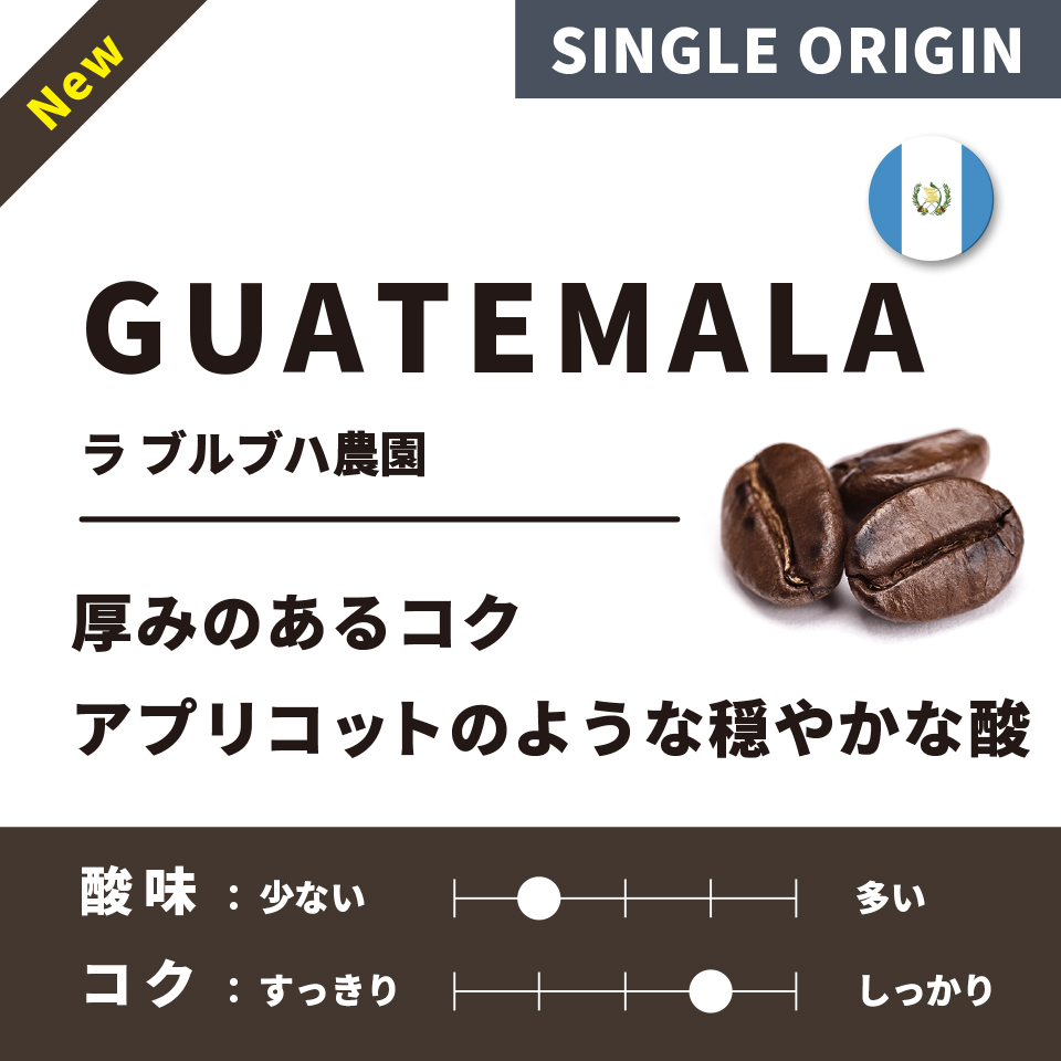 【深煎り】グァテマラ「ラ ブルブハ農園」200g