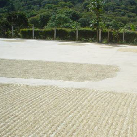 【深煎り】グァテマラ「ラ ブルブハ農園」200g