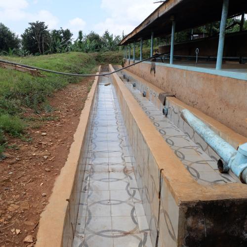 【深煎り】 ケニア「キイファクトリー」 200g 