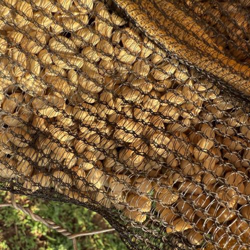 【中煎り】 ETHIOPIA FAIR「レクWS」ウォッシュド 200g ＜数量限定＞