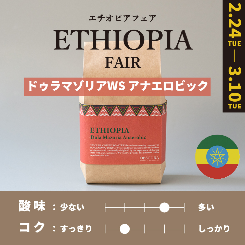 【浅煎り】 ETHIOPIA FAIR「ドゥラマゾリアWS」アナエロビック 200g ＜数量限定＞