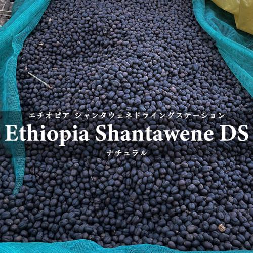 ETHIOPIA FAIR 4種セット（200g×4種）＜数量限定＞