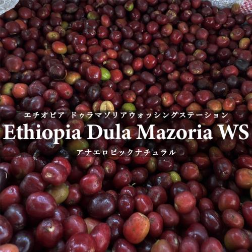 ETHIOPIA FAIR テイスティング4種セット（60g×4種）＜数量限定＞