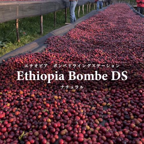 ETHIOPIA FAIR 4種セット（200g×4種）＜数量限定＞