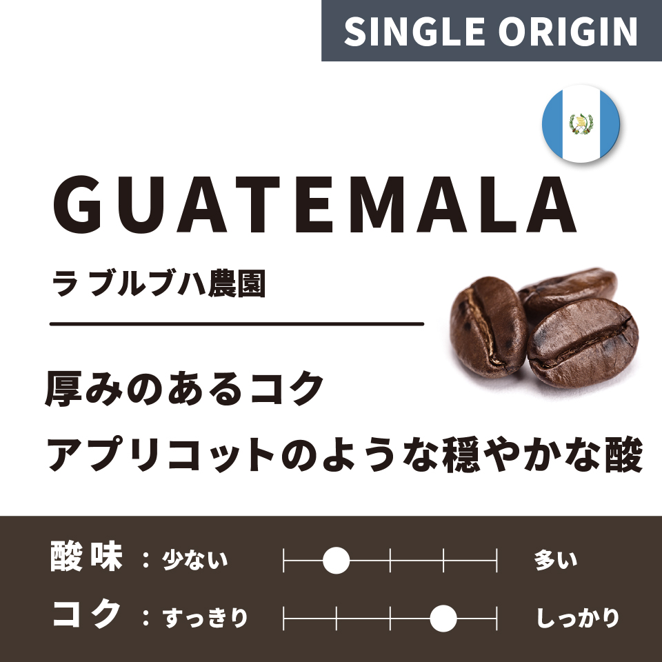 【深煎り】グァテマラ「ラ ブルブハ農園」200g