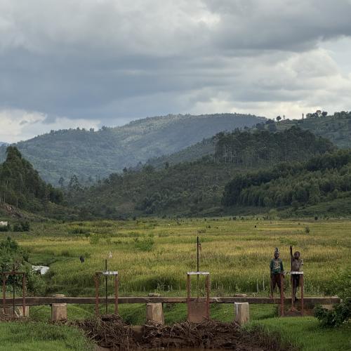 【浅煎り】ブルンジ「ブシンデWS」1kg （ハイクオリティ）
