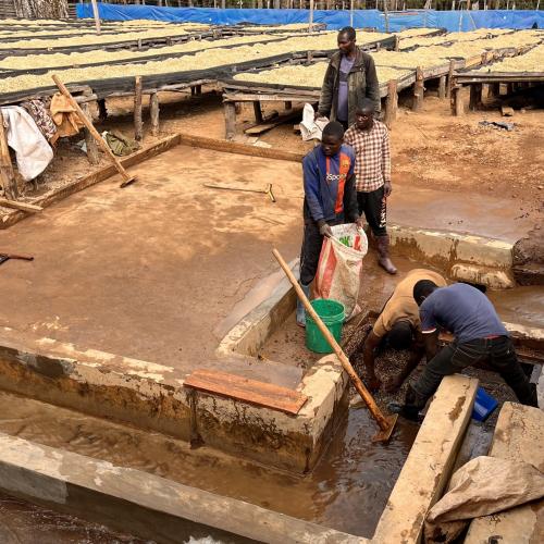 【深煎り】 タンザニア「イロマ組合」 200g 