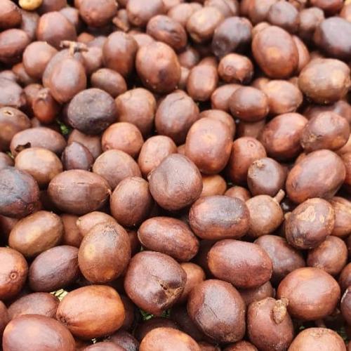 【深煎り】 RWANDA FAIR「ルガリCWS」アナエロビック 200g ＜数量限定＞