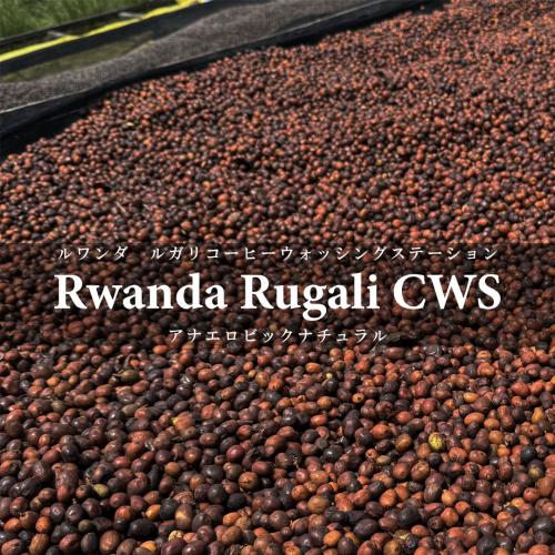 RWANDA FAIR テイスティング4種セット（60g×4種）＜数量限定＞