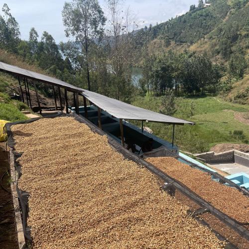 【深煎り】 TANZANIA FAIR「ンソガAMCOS」アナエロビック 200g ＜数量限定＞