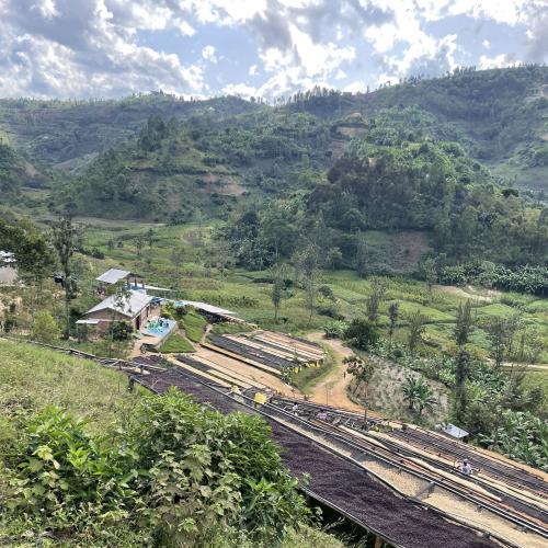 【深煎り】 TANZANIA FAIR「シンジンゴAMCOS」ナチュラル 200g ＜数量限定＞