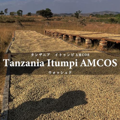 TANZANIA FAIR テイスティング4種セット（60g×4種）＜数量限定＞