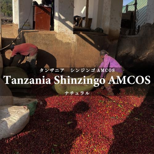 TANZANIA FAIR テイスティング4種セット（60g×4種）＜数量限定＞