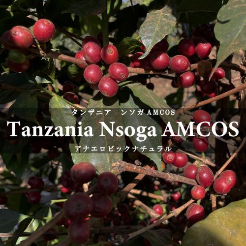 TANZANIA FAIR テイスティング4種セット（60g×4種）＜数量限定＞