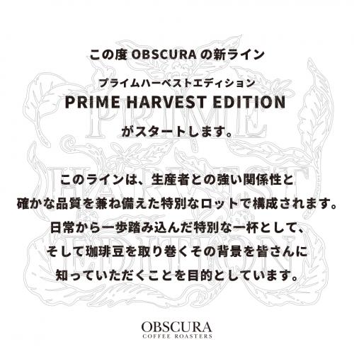 【PRIME HARVEST EDITION】エチオピア「バトゥロWS」浅煎り200g ※数量限定