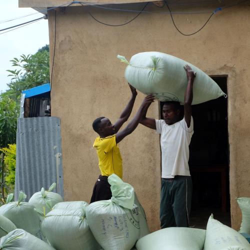 【浅煎り】ルワンダ「ギト」 1kg