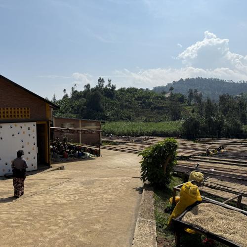 【浅煎り】ルワンダ「ルガリCWS」200g